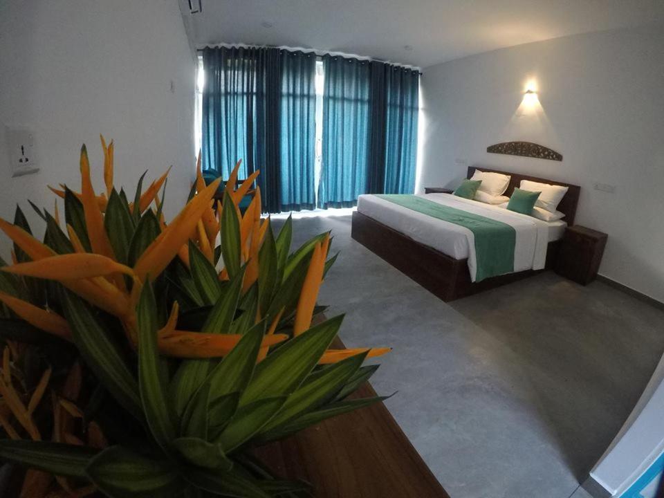 Hotel N 34 Mirissa Exterior foto